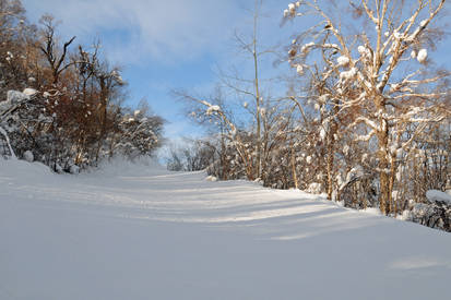 Haerbin Skiing Field