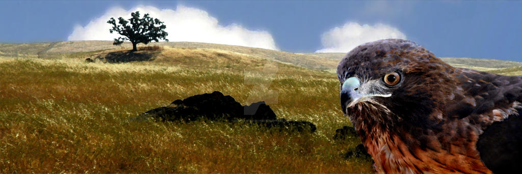 Raptor Rapture by DoublejayVisions on DeviantArt