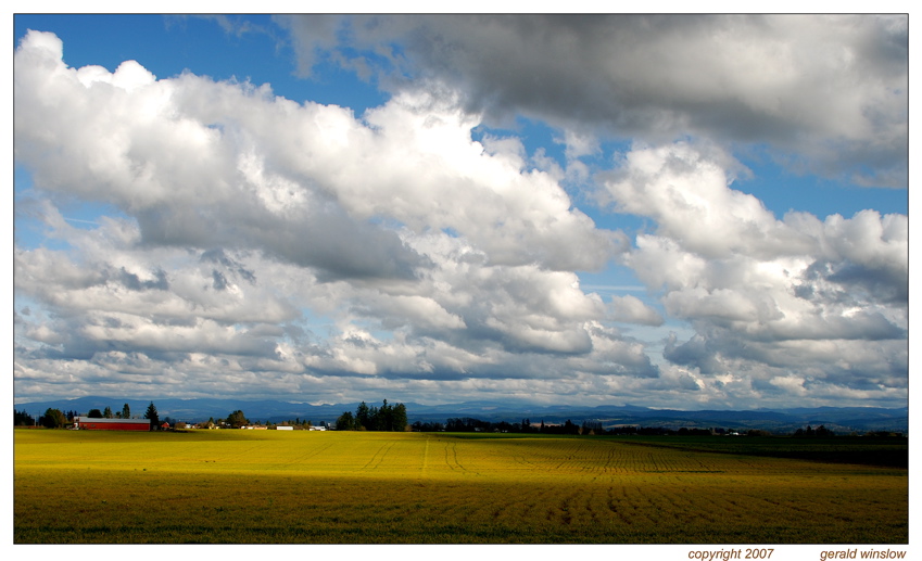 Fields of Gold