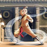 The Last Airbender