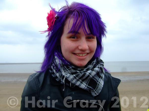 Directions Violet Hair Dye By A Little Dragon On Deviantart