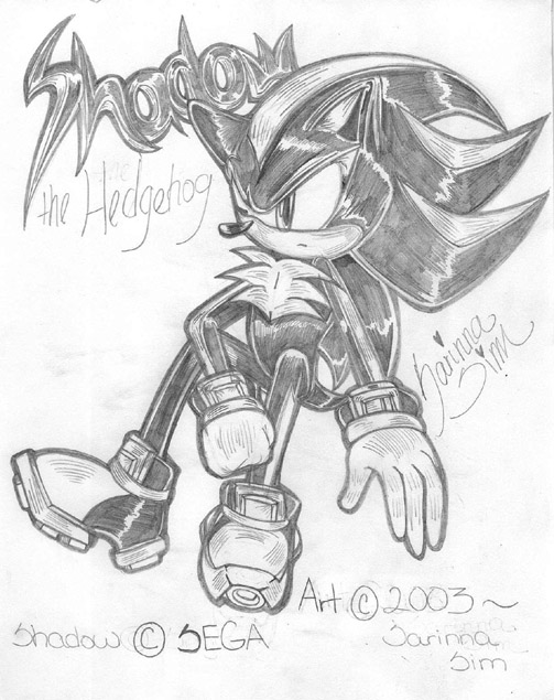 Shadow The Hedgehog