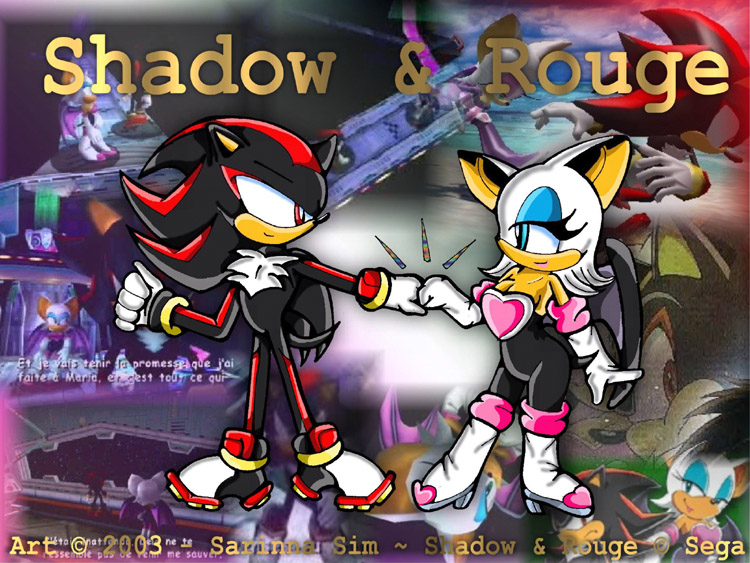 Shadow And Rouge - Team Work