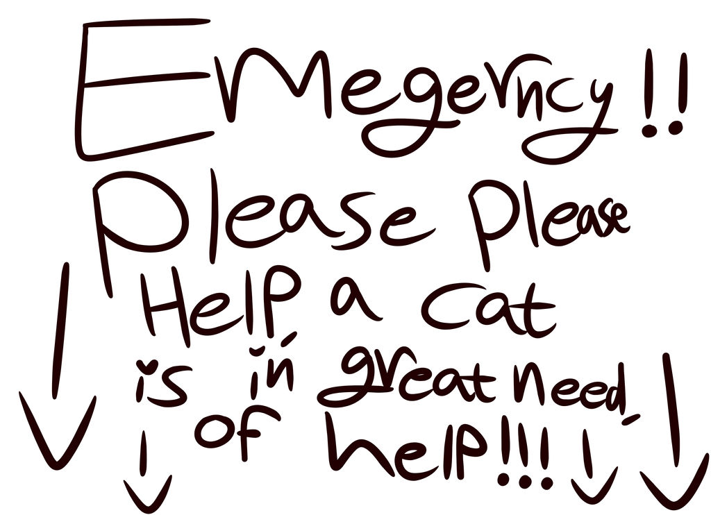 Plase Help HELP HELp please please everyone by IloveEhlm on DeviantArt