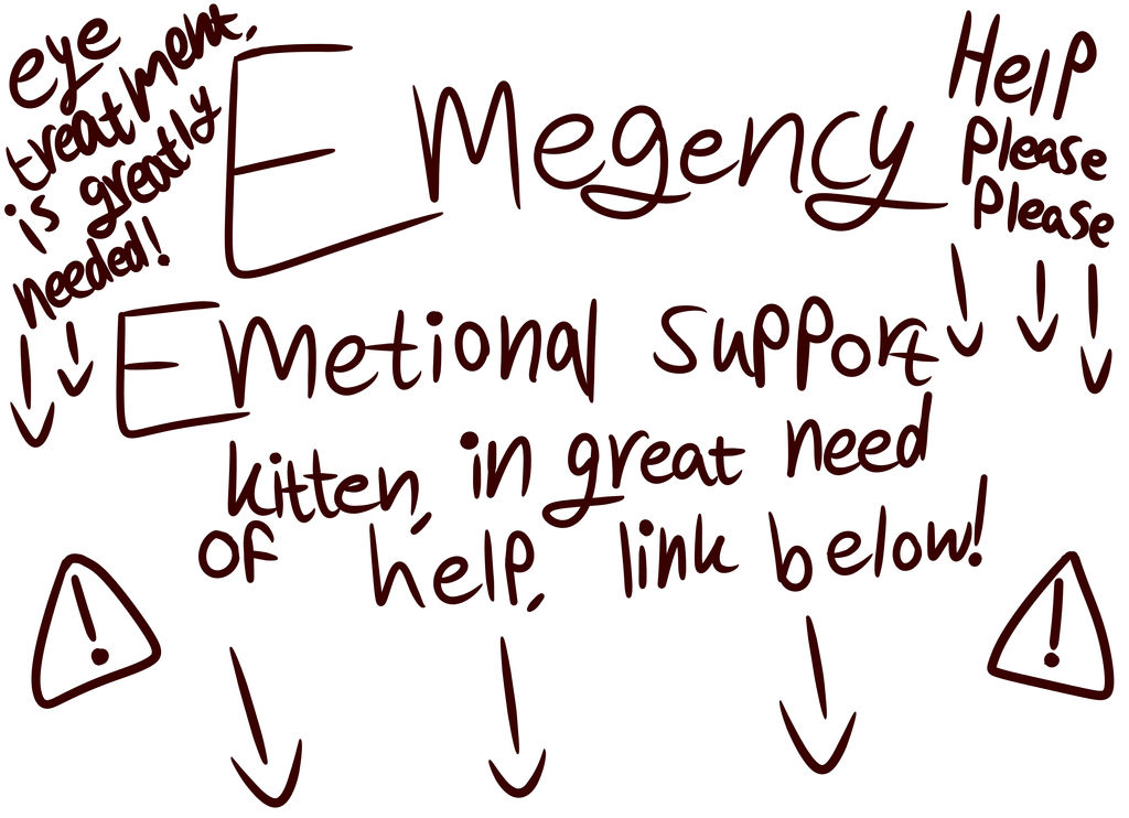 Plase Help HELP HELp please please everyone please by IloveEhlm on DeviantArt