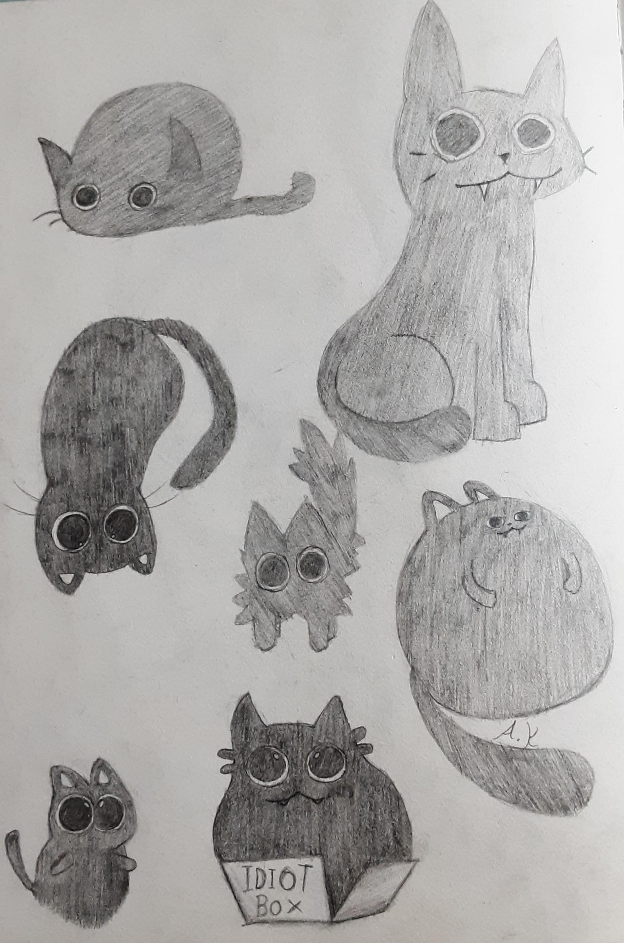 Silly Cat Drawings by WitherReaper on DeviantArt