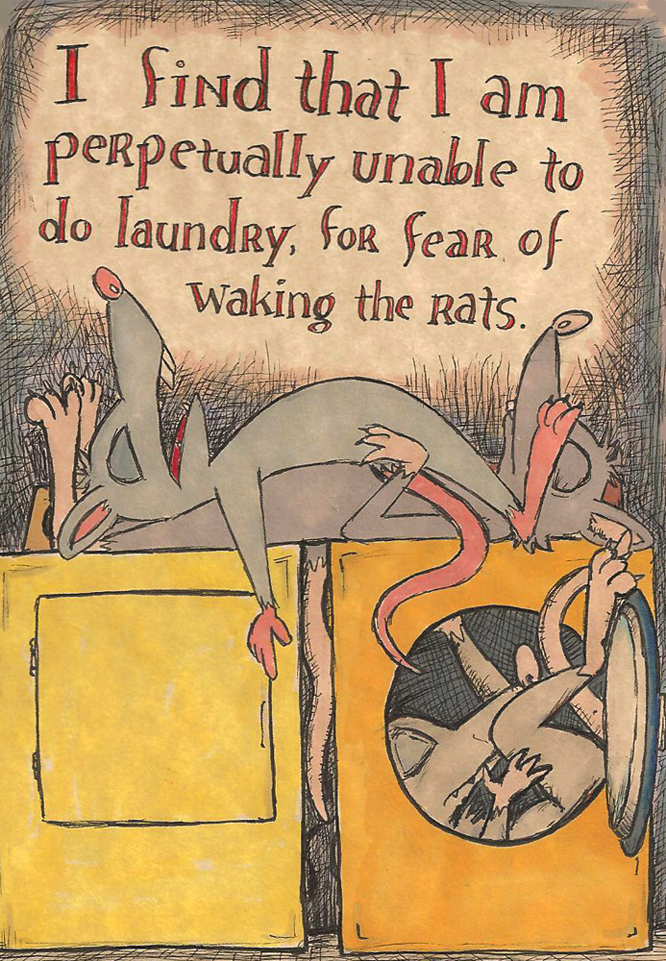 Laundry rats