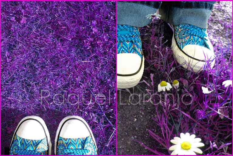 Purple Grass