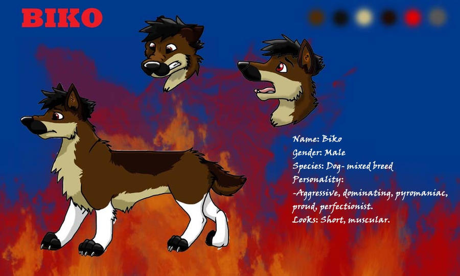 Biko reference sheet