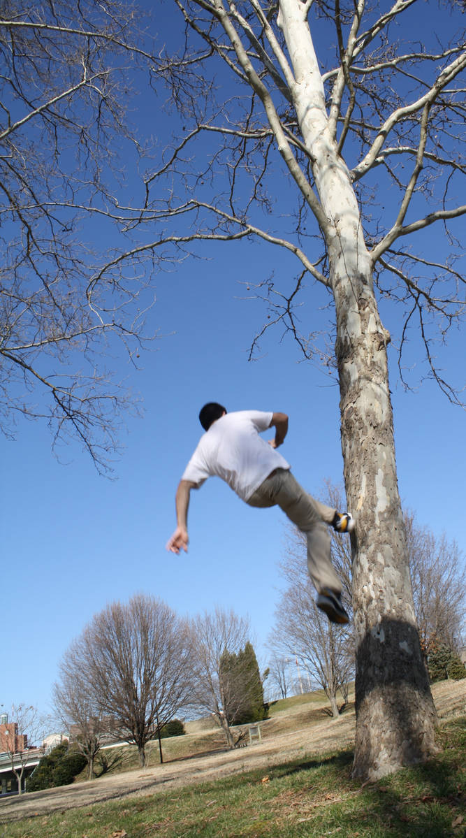 Running up a tree by spine-in-jellyfish on DeviantArt