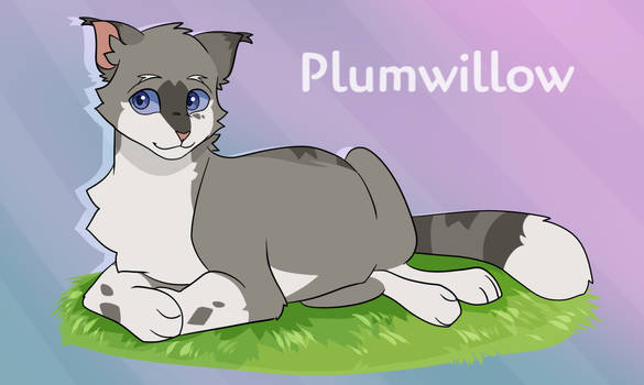Daily Warriors | Day 1 - Plumwillow