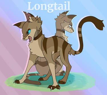 Daily Warriors | Day 2 - Longtail