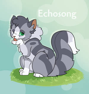 Daily Warriors | Day 6 - Echsong