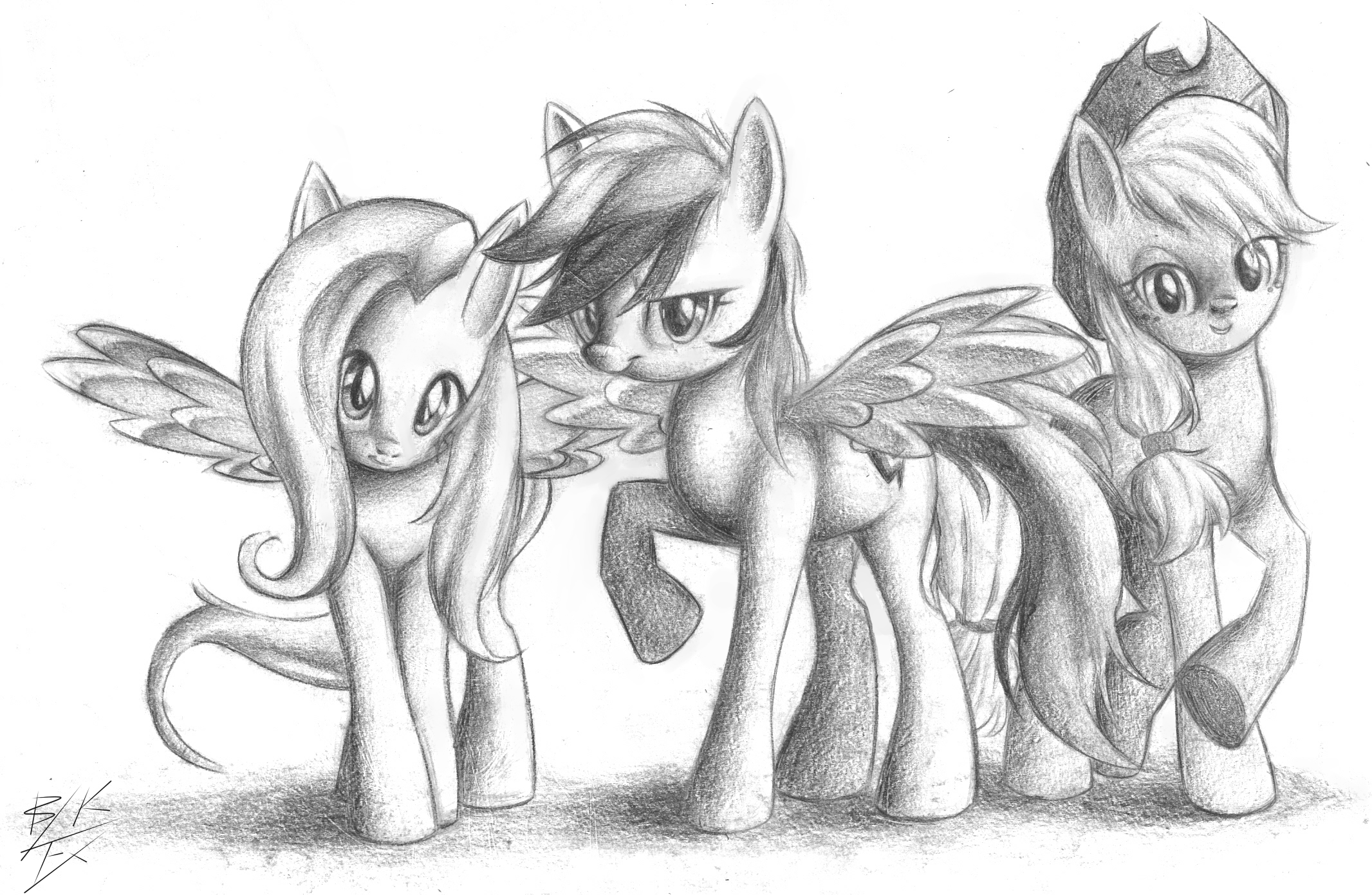 Shy, Dash and Jack