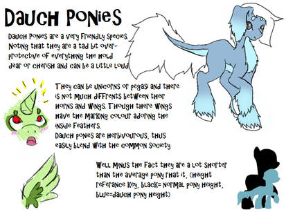 New Species! Dauch Ponies~ (Open species)