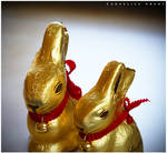 Easter Bunnies by corius