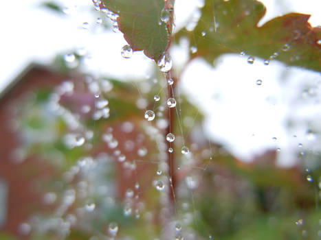 water drops