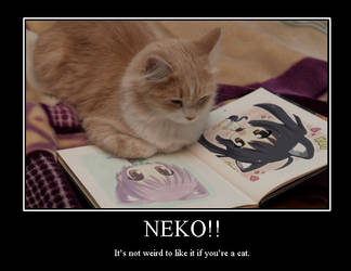 Cat: Neko Motivation