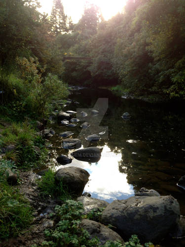 Leith stream