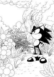 sonic on south island