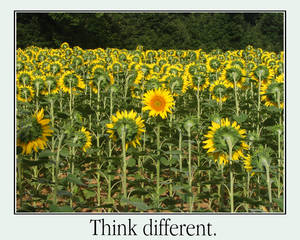 Think different