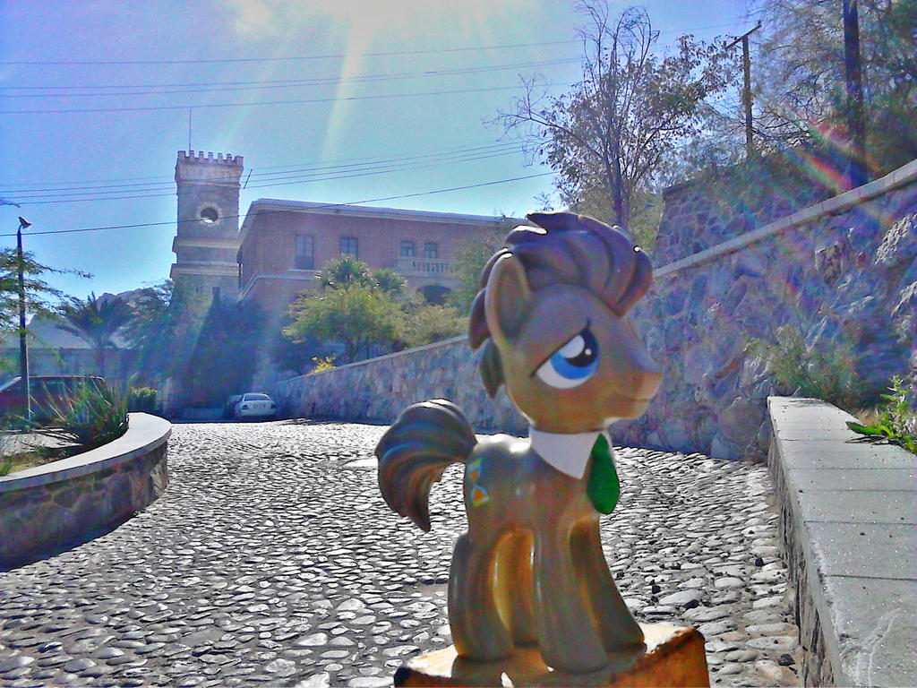 Doctor Whooves y el Museo de Sonora