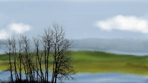 Jon's trees