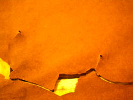 Torn