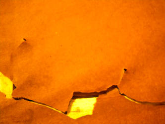 Torn
