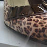 Jaguar shoe