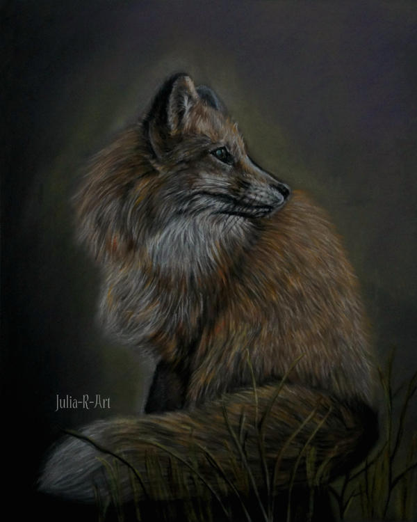 Red Fox by Julia-R-Ch on DeviantArt