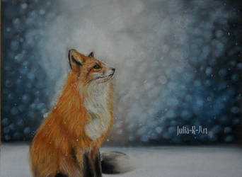 Fox in the snow