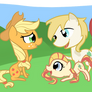 Apple Ponies
