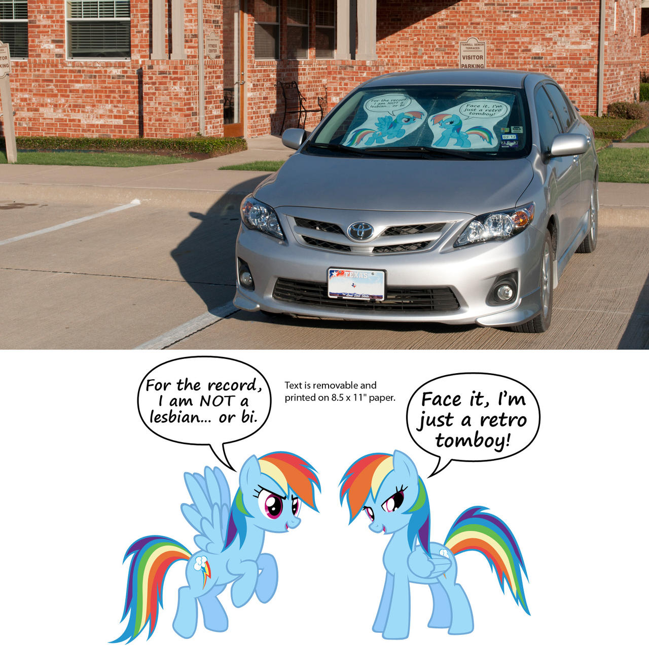 Rainbow Dash Sunshade