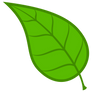 CM Leaf