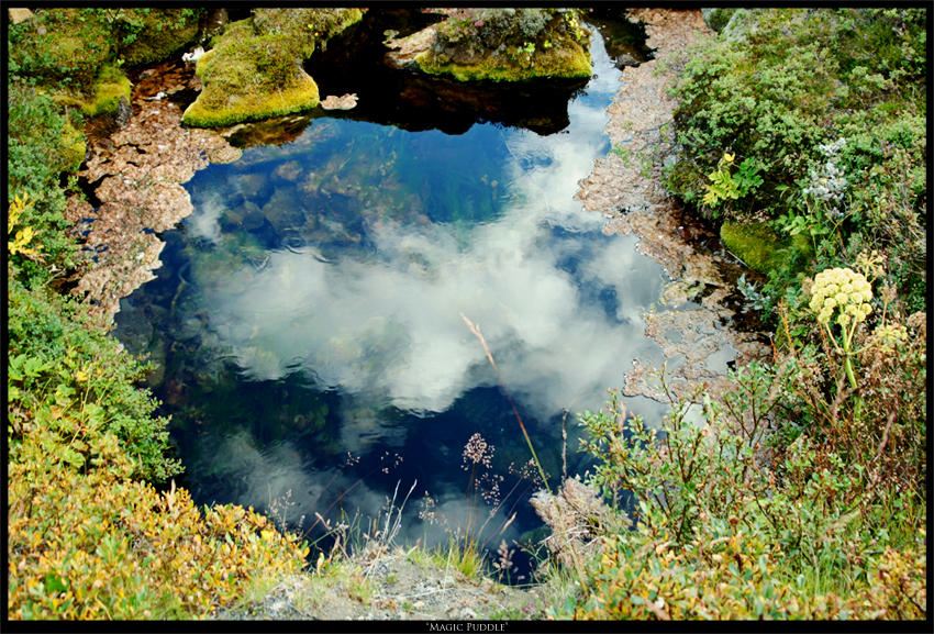 magic puddle by oO-ReflectionS-Oo on DeviantArt
