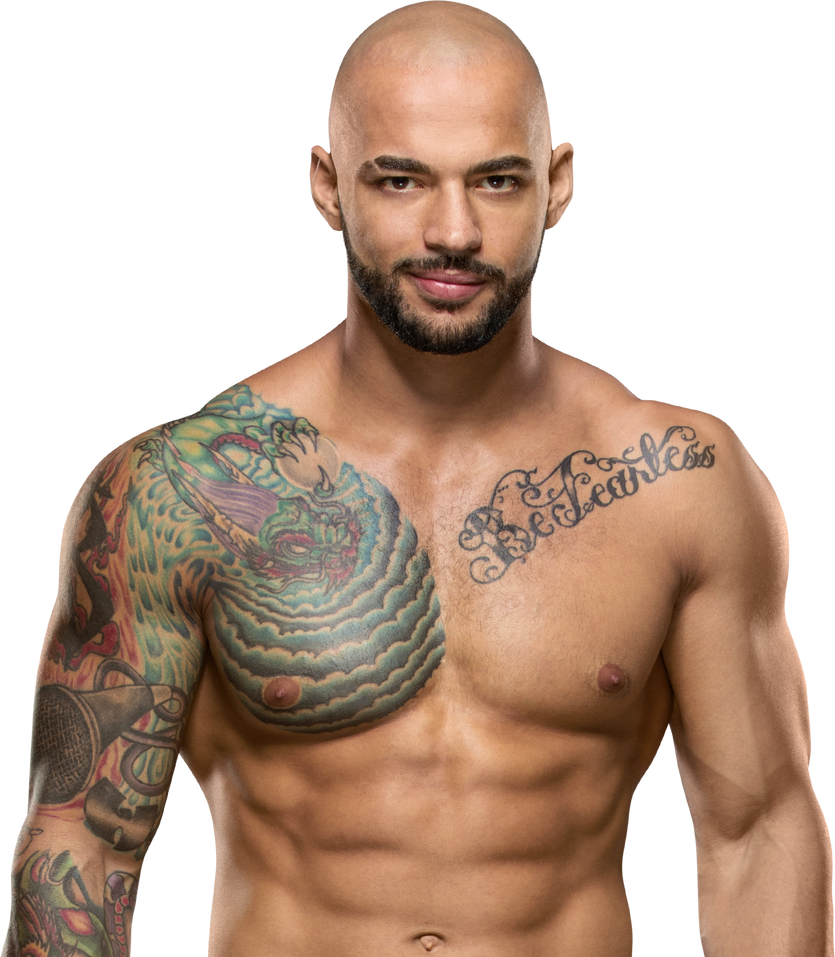 Ricochet NEW Render PNG 2018 by JustAPerfect10 on DeviantArt