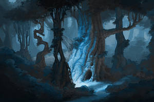 Night Forest