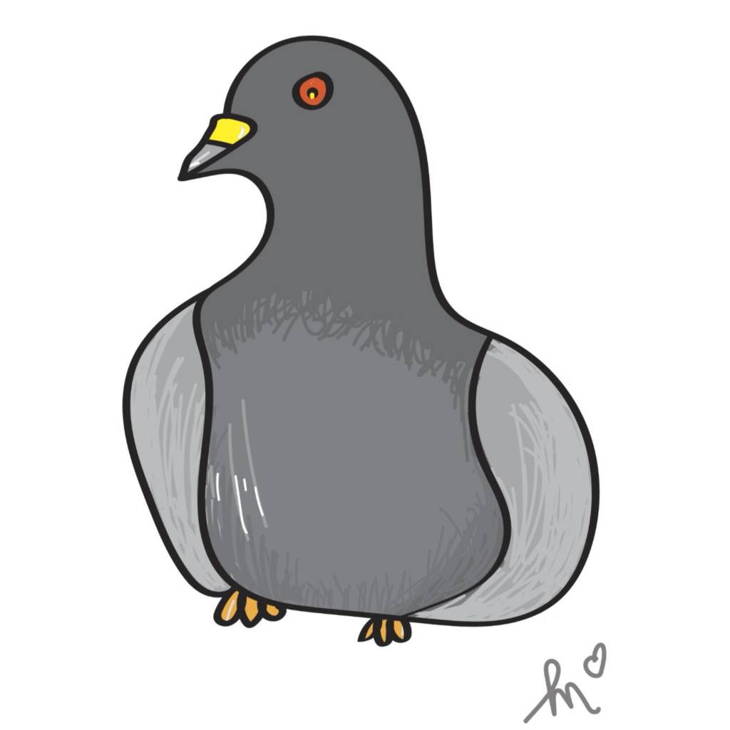 Pigeon by Loisemichelle on DeviantArt Pigeon by Loisemichelle on DeviantArt