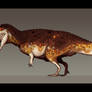 Ceratosaurus dentisulcatus