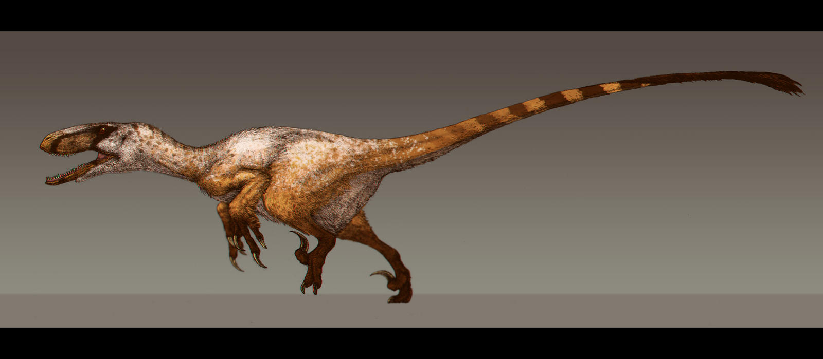 Utaraptor Utahraptor ostrommaysorum by Paleocolour on DeviantArt