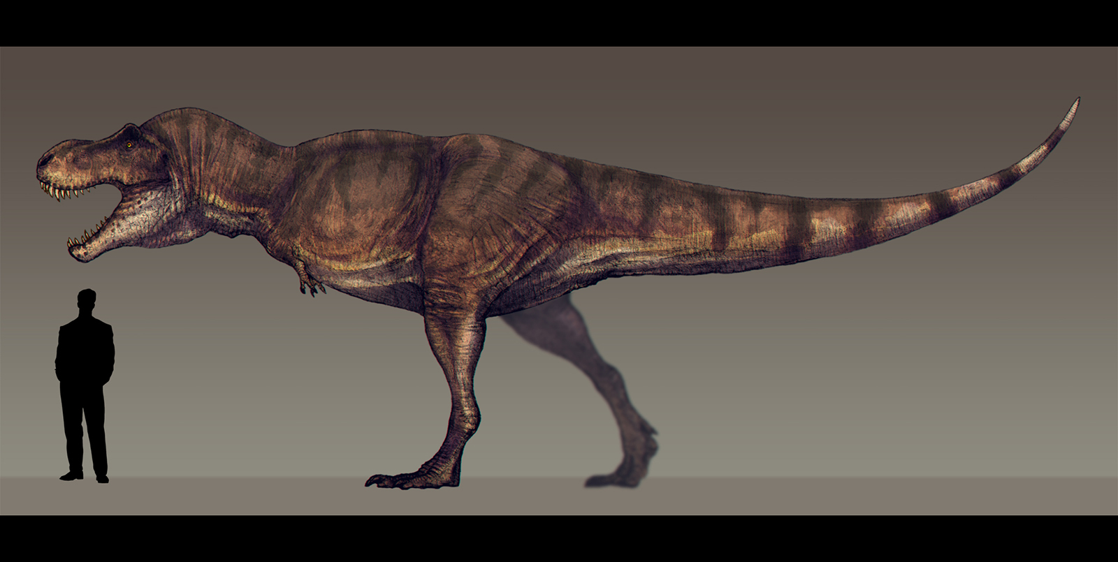 Tyrannosaurus rex