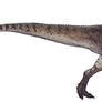 Piatnitzkysaurus floresi