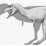 Gualicho shinyae Size Chart