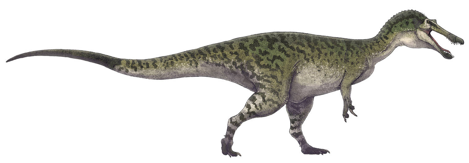 Baryonyx Walkeri By Paleocolour On DeviantArt baryonyx-walkeri-by-paleocolour-on-deviantart