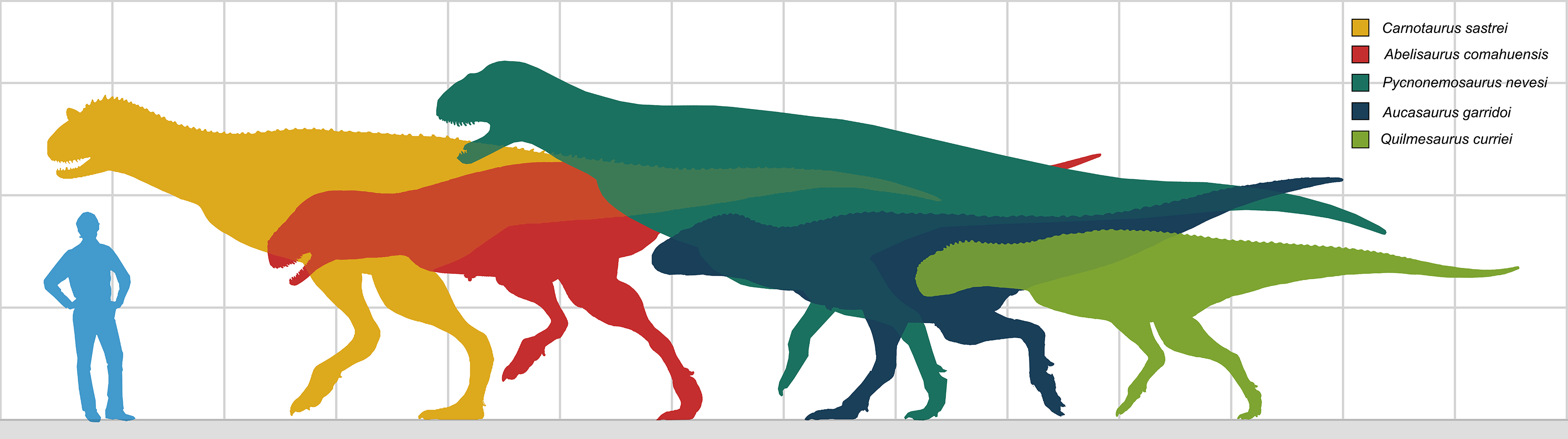 Carnotaurus for Wikipedia by FredtheDinosaurman on DeviantArt