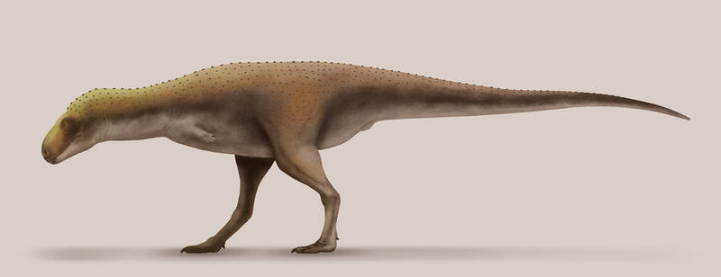 Rahiolisaurus gujaratensis