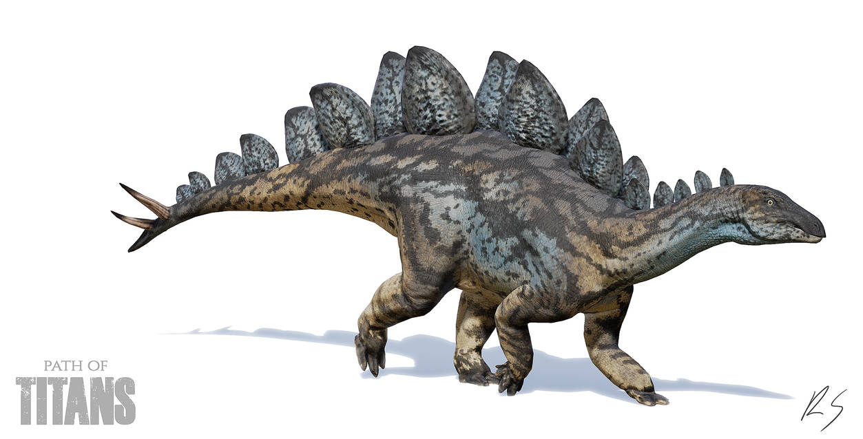 Image result for stegosaurids