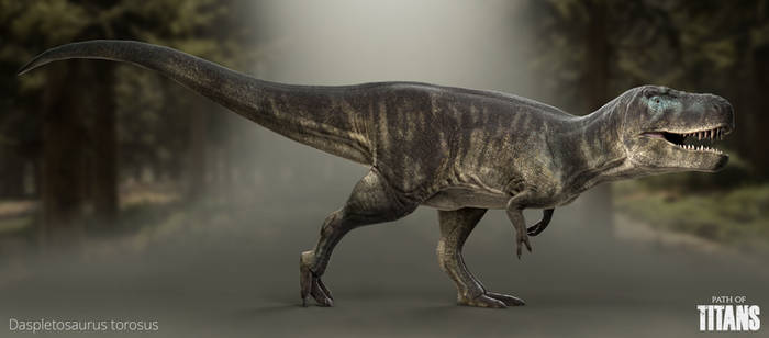 Daspletosaurus torosus