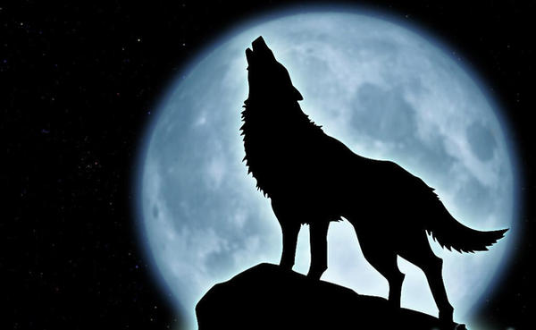 wolf_howling_at_the_moon_by_hmmmm1797.jpg